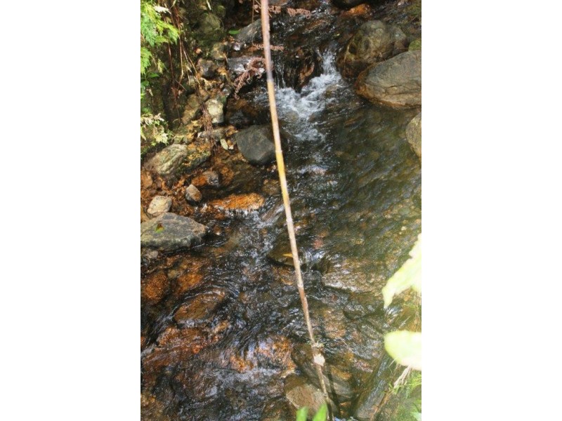 Lot 378 Hickory Road Cow Bay, Daintree QLD 4873