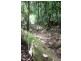 Lot 378 Hickory Road Cow Bay, Daintree QLD 4873
