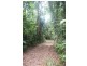 Lot 378 Hickory Road Cow Bay, Daintree QLD 4873