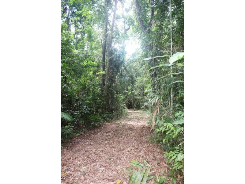 Lot 378 Hickory Road Cow Bay, Daintree QLD 4873