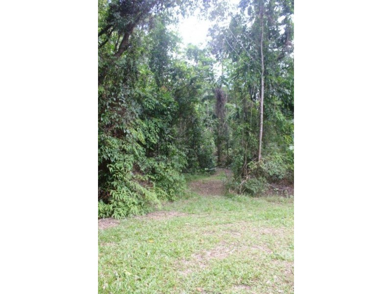 Lot 378 Hickory Road Cow Bay, Daintree QLD 4873