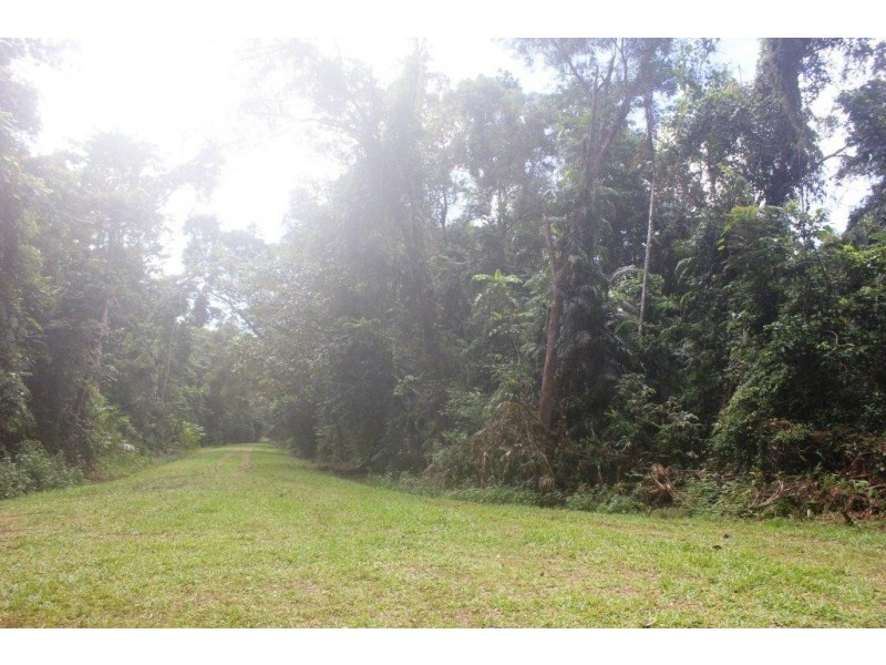 Lot 378 Hickory Road Cow Bay, Daintree QLD 4873