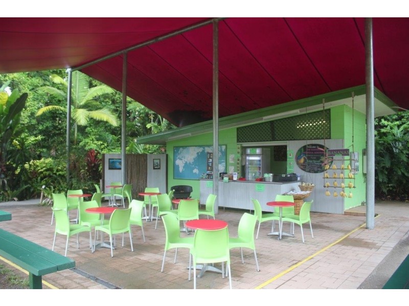 100 Cape Tribulation Road DIWAN, Diwan QLD 4873