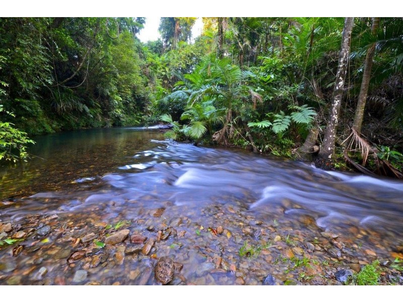 100 Cape Tribulation Road DIWAN, Diwan QLD 4873