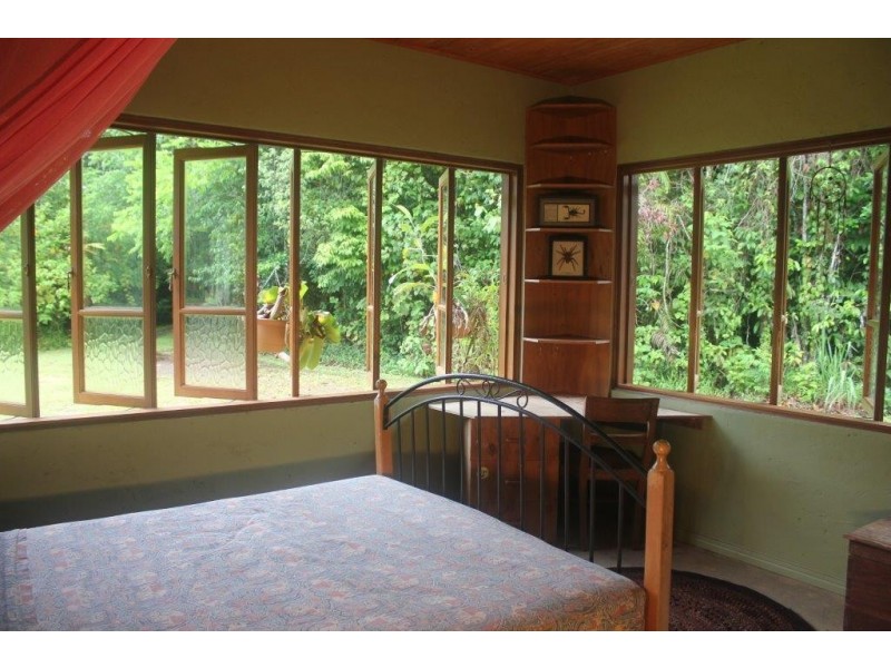 100 Cape Tribulation Road DIWAN, Diwan QLD 4873