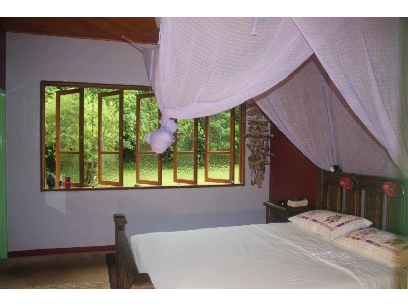 100 Cape Tribulation Road DIWAN, Diwan QLD 4873