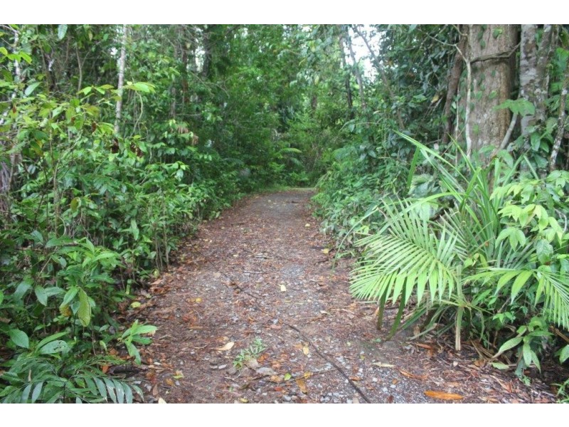 100 Cape Tribulation Road DIWAN, Diwan QLD 4873