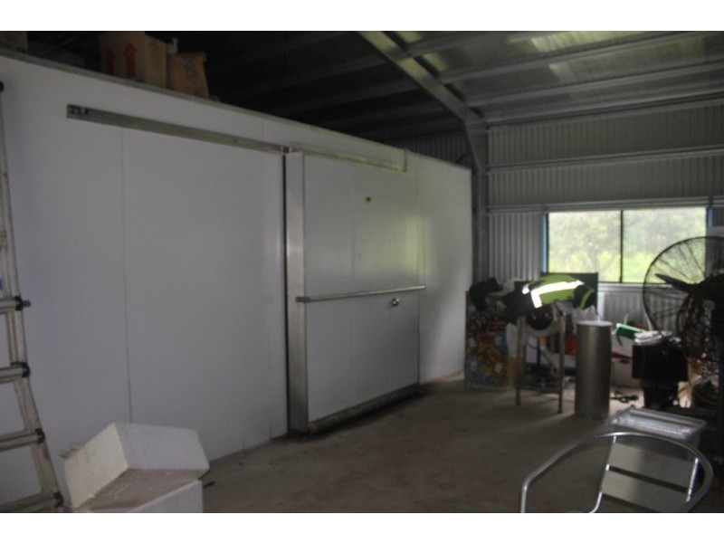 100 Cape Tribulation Road DIWAN, Diwan QLD 4873