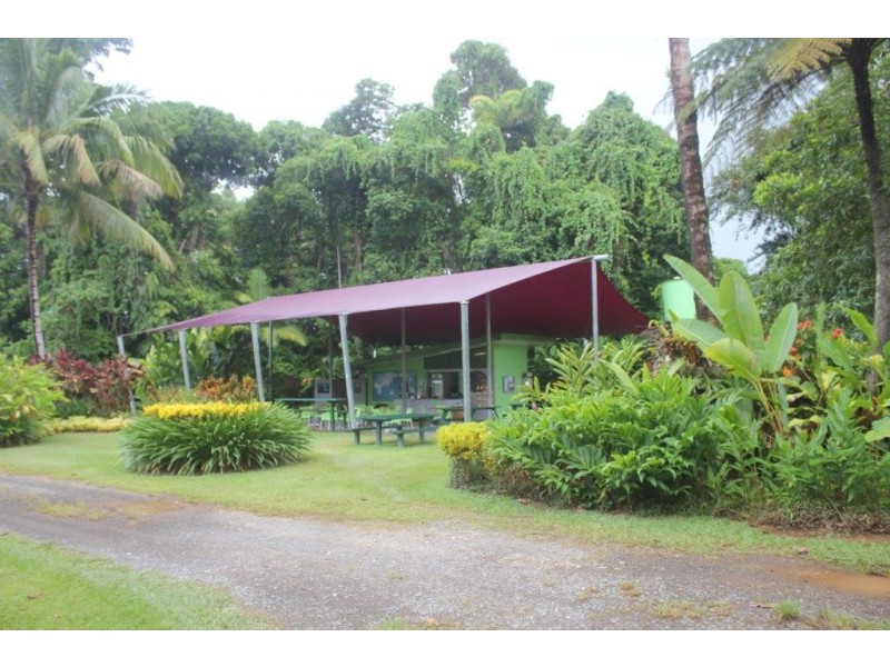 100 Cape Tribulation Road DIWAN, Diwan QLD 4873