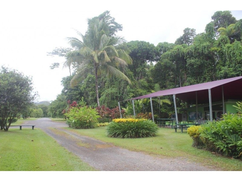 100 Cape Tribulation Road DIWAN, Diwan QLD 4873