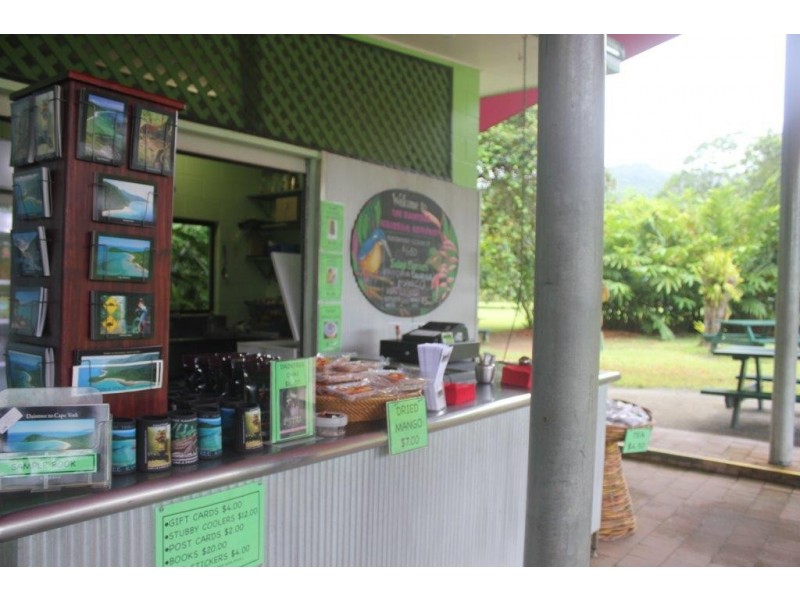 100 Cape Tribulation Road DIWAN, Diwan QLD 4873