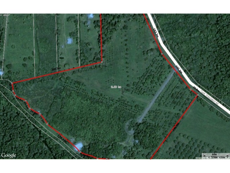 100 Cape Tribulation Road DIWAN, Diwan QLD 4873