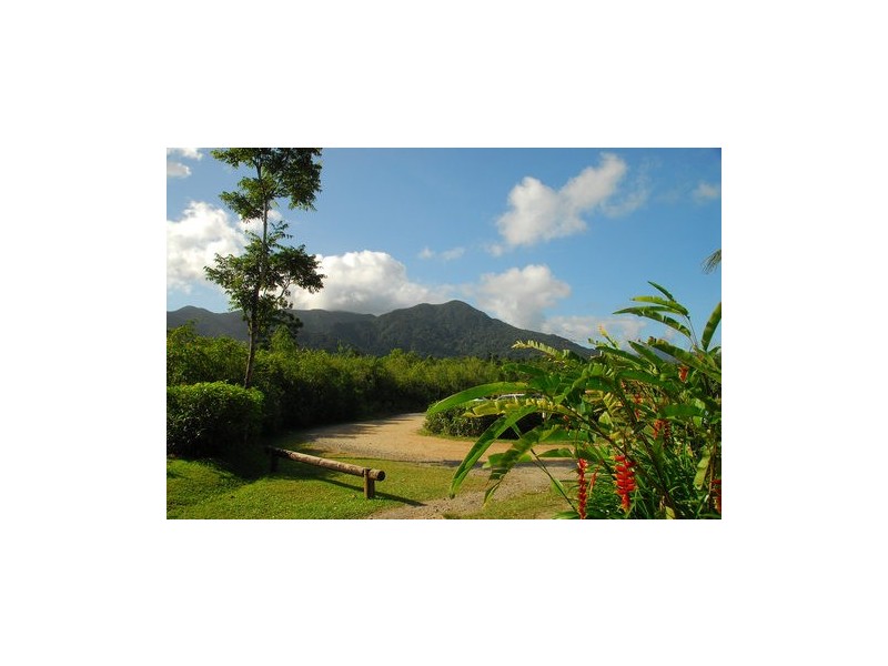 100 Cape Tribulation Road DIWAN, Diwan QLD 4873