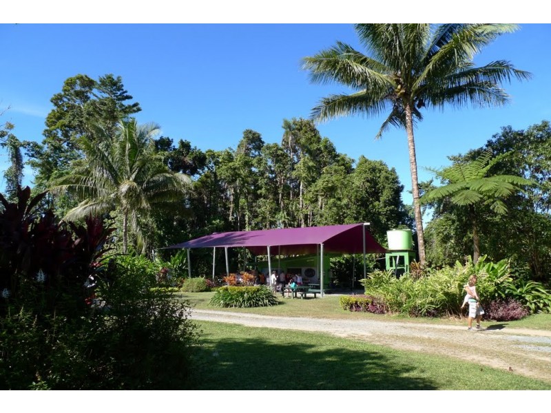 100 Cape Tribulation Road DIWAN, Diwan QLD 4873