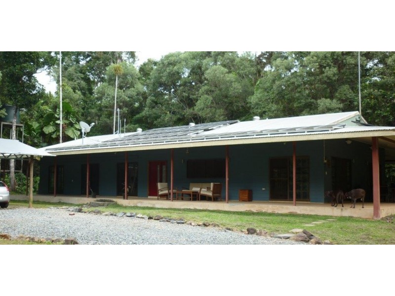 Daintree QLD 4873