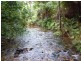 Daintree QLD 4873