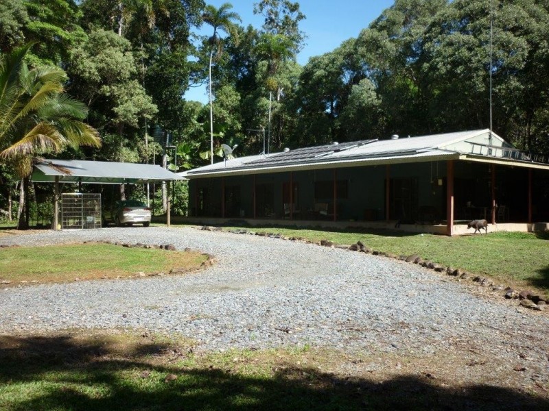 Daintree QLD 4873