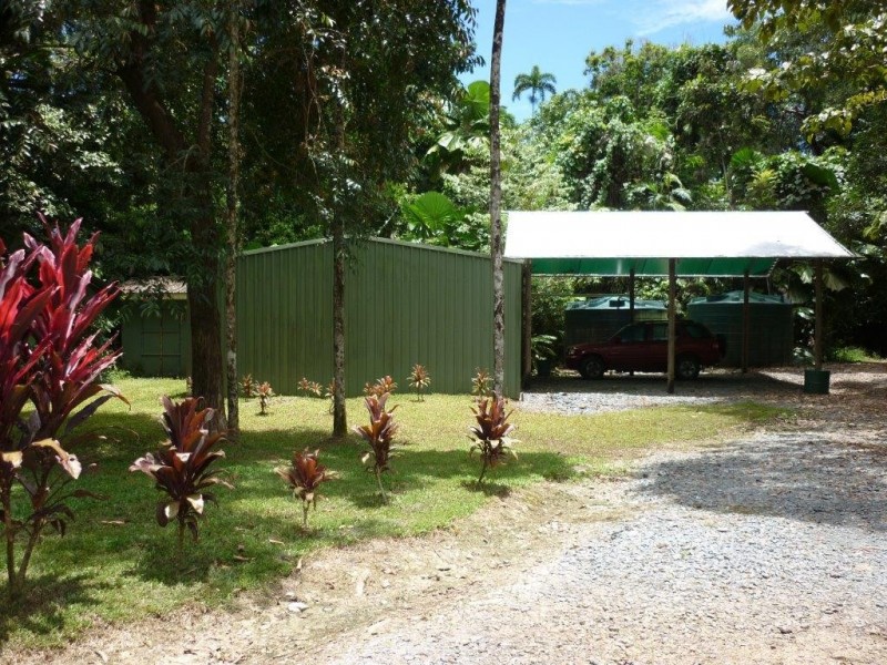 Daintree QLD 4873