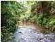 Daintree QLD 4873