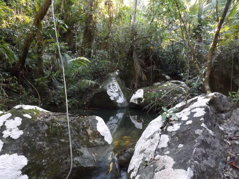 Lot 157 Cape Tribulation Road DIWAN, Daintree QLD 4873