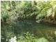 Lot 157 Cape Tribulation Road DIWAN, Daintree QLD 4873