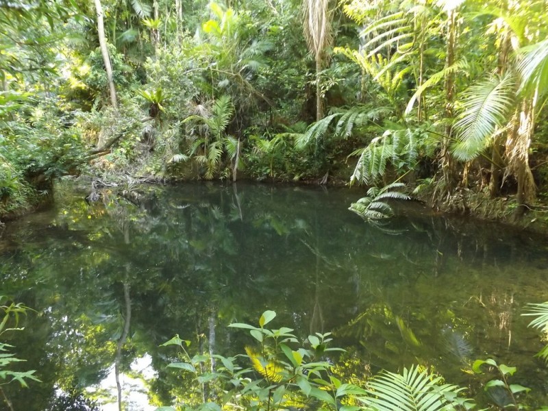 Lot 157 Cape Tribulation Road DIWAN, Daintree QLD 4873
