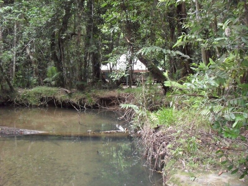 Lot 157 Cape Tribulation Road DIWAN, Daintree QLD 4873