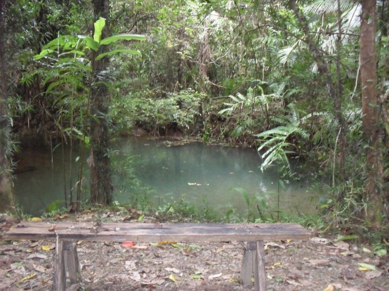 Lot 157 Cape Tribulation Road DIWAN, Daintree QLD 4873
