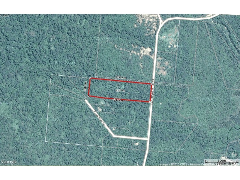 Lot 157 Cape Tribulation Road DIWAN, Daintree QLD 4873