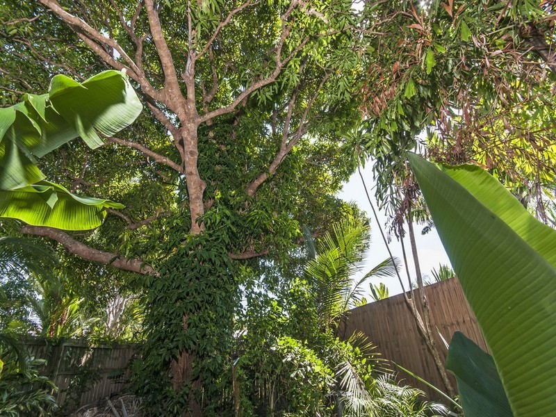 14 Trochus Close, Port Douglas QLD 4877