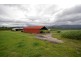 81 Bells Road, Newell QLD 4873