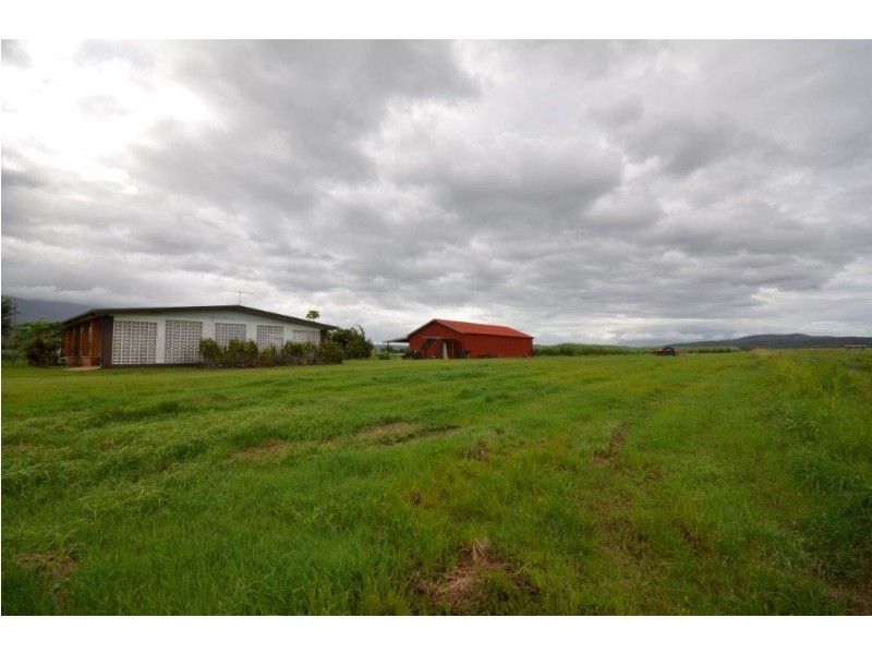 81 Bells Road, Newell QLD 4873