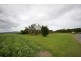 81 Bells Road, Newell QLD 4873