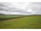 81 Bells Road, Newell QLD 4873