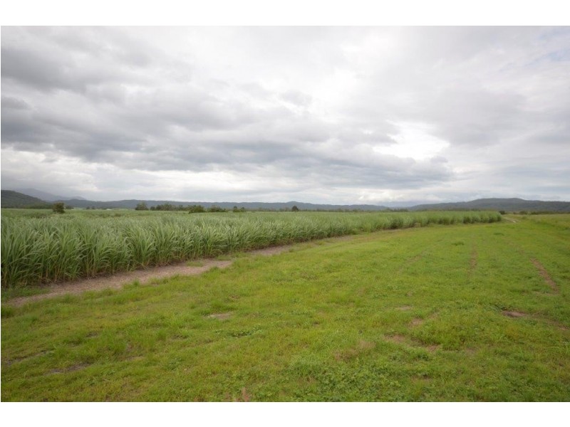 81 Bells Road, Newell QLD 4873