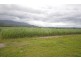 81 Bells Road, Newell QLD 4873