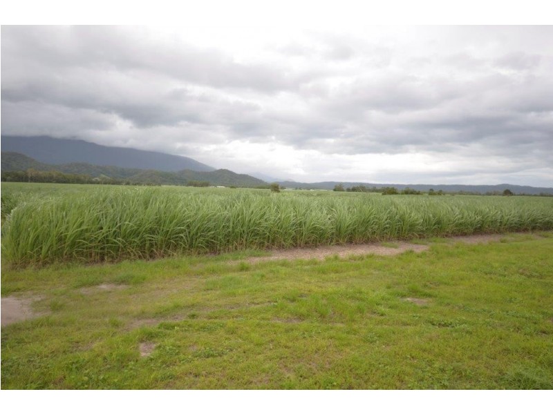 81 Bells Road, Newell QLD 4873