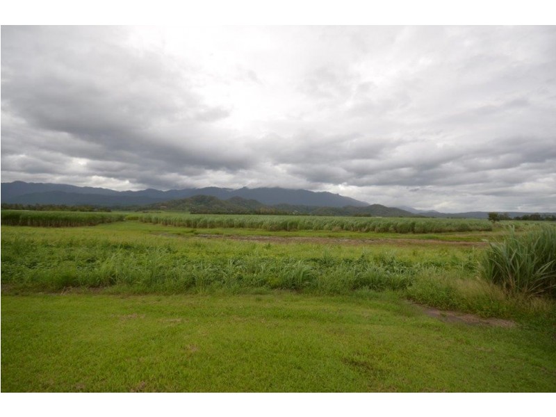 81 Bells Road, Newell QLD 4873