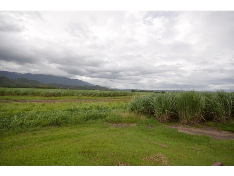 81 Bells Road, Newell QLD 4873