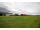 81 Bells Road, Newell QLD 4873
