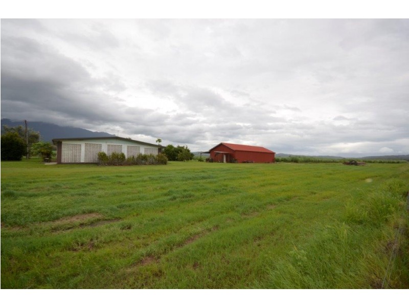 81 Bells Road, Newell QLD 4873