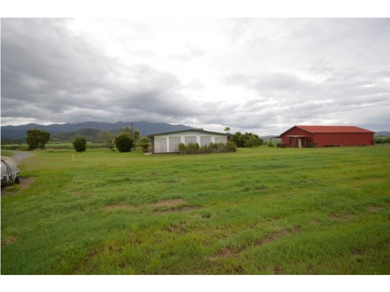 81 Bells Road, Newell QLD 4873
