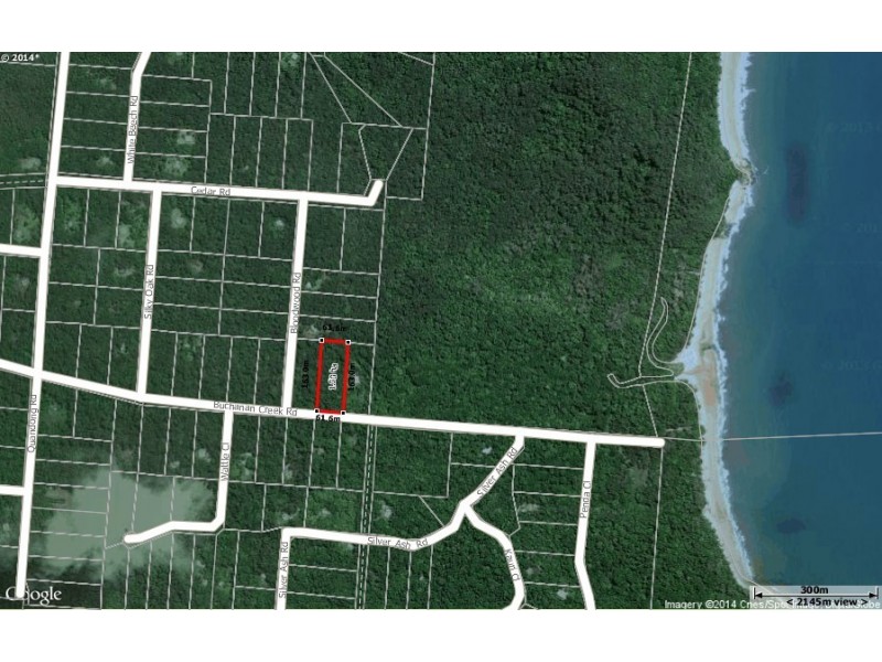 Lot 173 Buchanan Creek Road COW BAY, Daintree QLD 4873