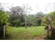 99 Rosewood Road COW BAY, Daintree QLD 4873