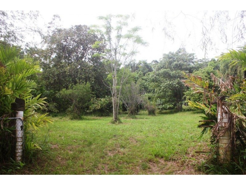 99 Rosewood Road COW BAY, Daintree QLD 4873