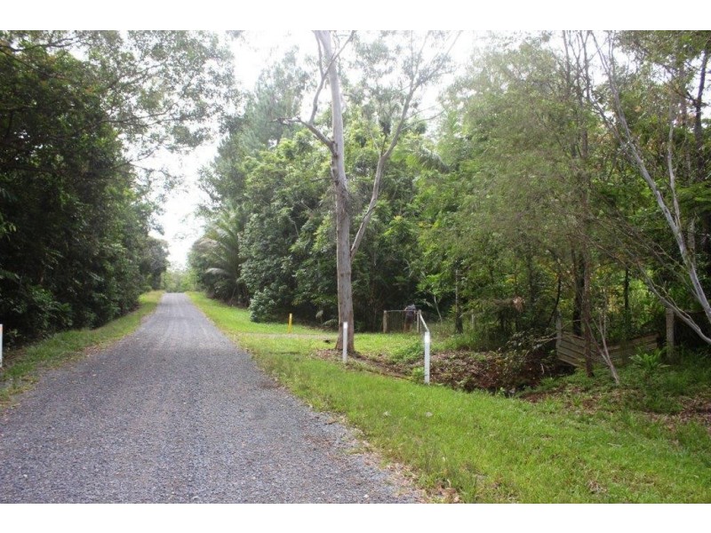 99 Rosewood Road COW BAY, Daintree QLD 4873