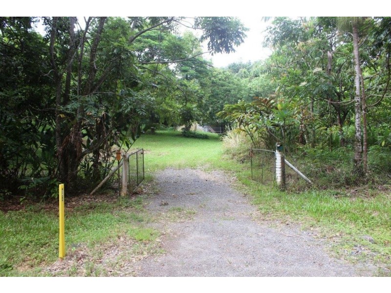 99 Rosewood Road COW BAY, Daintree QLD 4873