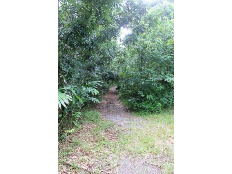 99 Rosewood Road COW BAY, Daintree QLD 4873