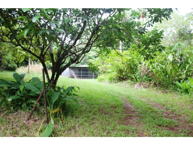 99 Rosewood Road COW BAY, Daintree QLD 4873