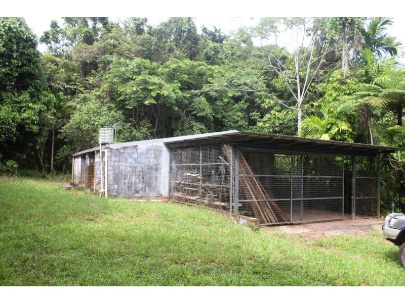 99 Rosewood Road COW BAY, Daintree QLD 4873